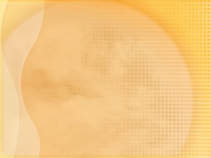 动态定价工具横向对比测试